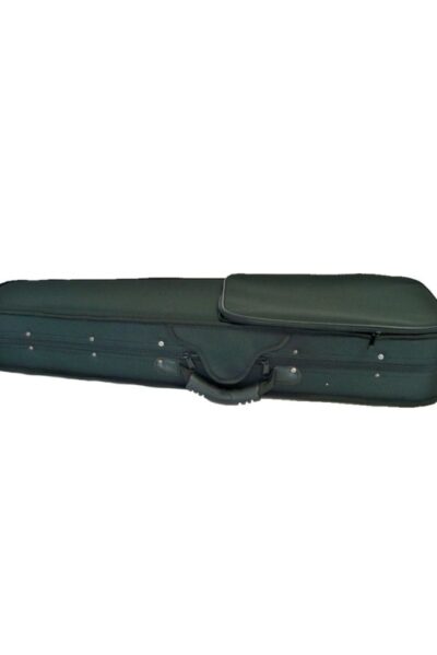 Violon 4/4 PASSION TRADITION Qualité D — Prêt à jouer